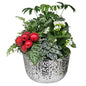 Christmas Indoor Garden